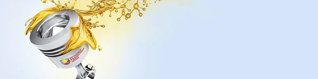 Dynamic Protection Plus