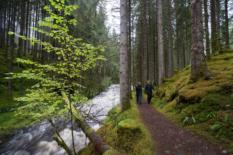 <p>Shell predstavuje v Európe portfólio uhlíkovo neutrálnych mazív</p>
| AutoMax Group