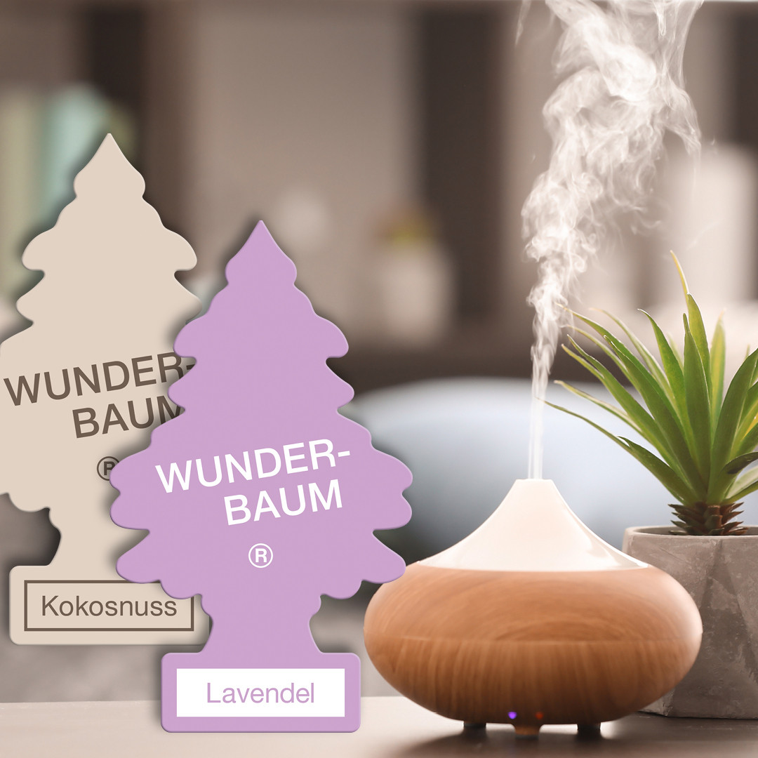 Vybíráte vůni do auta? Máme pro vás přehled možností | AutoMax Group