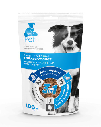 Pochoutky pro psy thePet+ dog Active treat 100 g | AutoMax Group