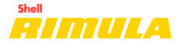 Shell Rimula